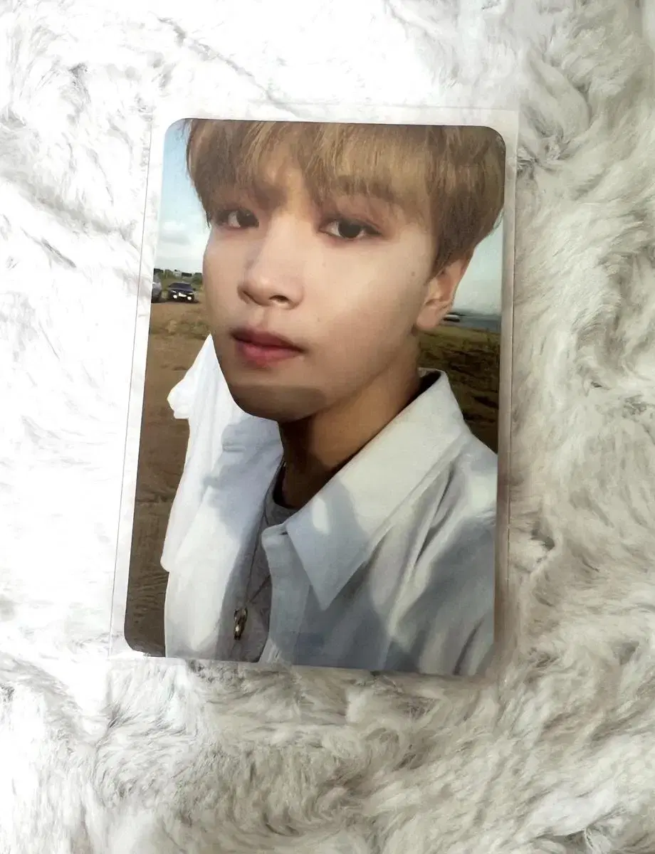 NCT WeGovup haechan photocard WTS