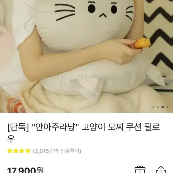 고양이 얼굴 쿠션