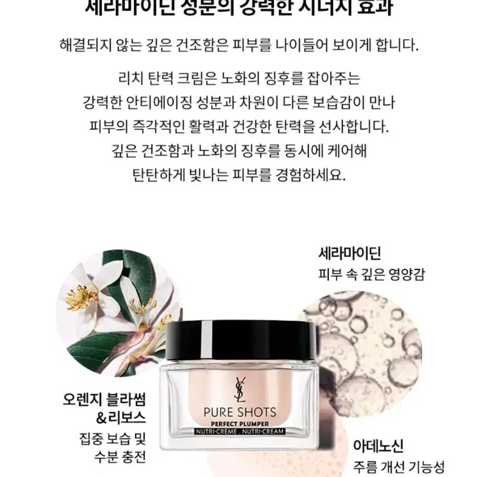 입생로랑 퓨어샷 퍼펙트 플럼퍼 크림 본품 50ml