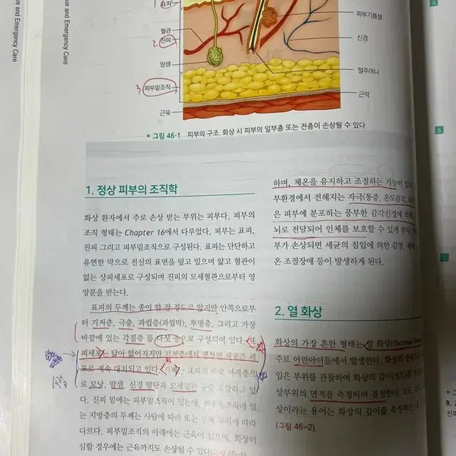 응급구조와 응급처치9,응급의료관련법령,기본응급환자관리학,현장실습기록지작성