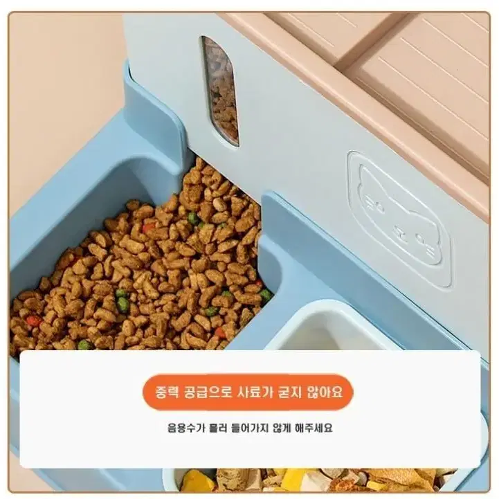 애완동물 사료,물 자동 공급 디스펜서