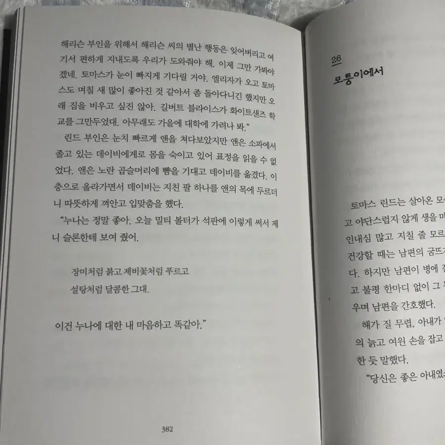 거울 나라의 앨리스 애이번리의 앤 책