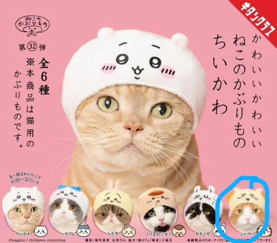 Munchkin Kurimanju Shisa Cat Hat Gacha