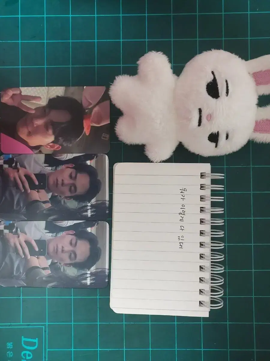 Ryu Kyungsoo Rabbit doll photocard Baekki