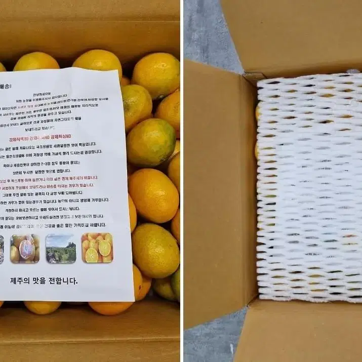 *품질로 승부하는* 제주 명품 효돈감귤 대과 10kg