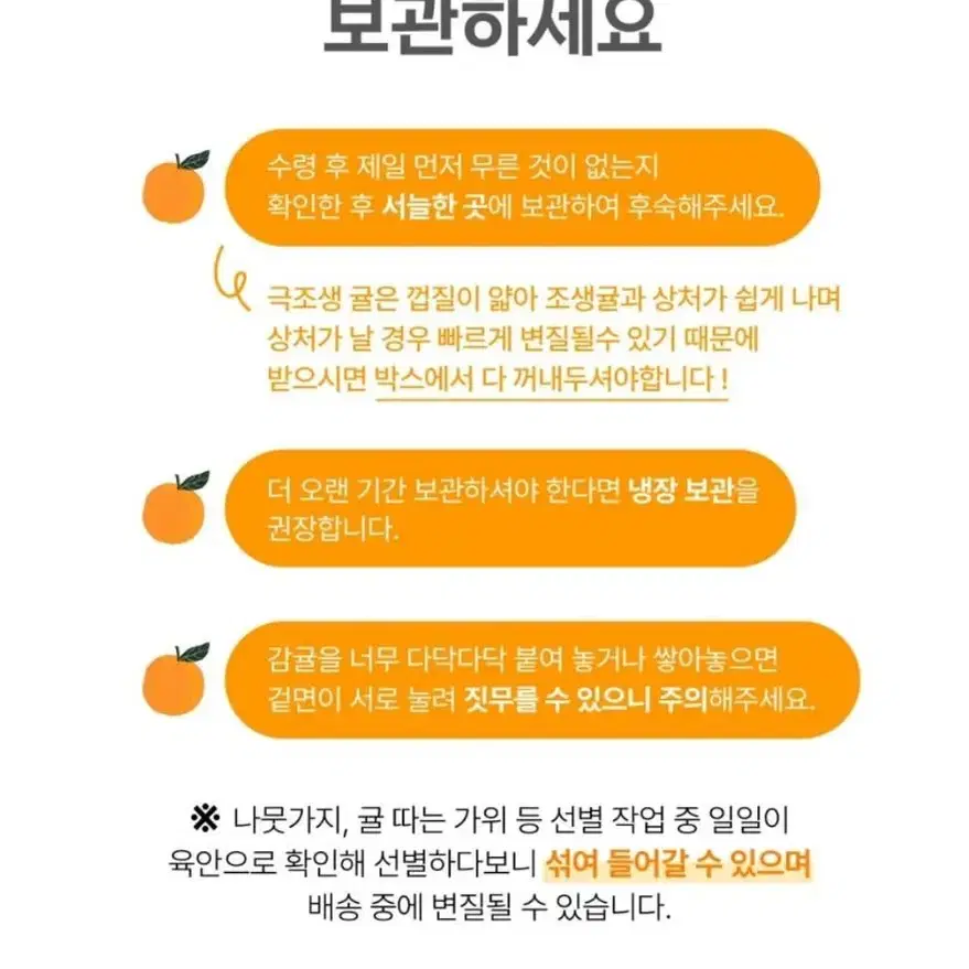 *품질로 승부하는* 제주 명품 효돈감귤 대과 10kg