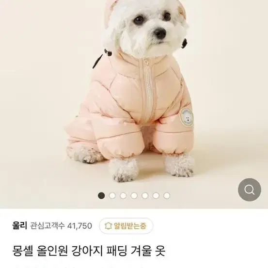 강아지 올인원 패딩