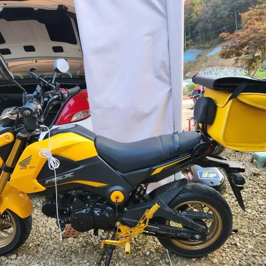 HONDA MSX125