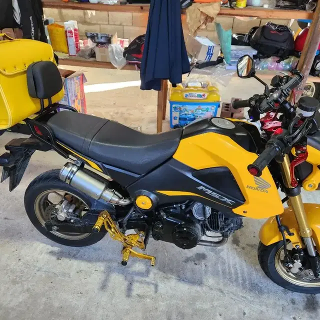 HONDA MSX125