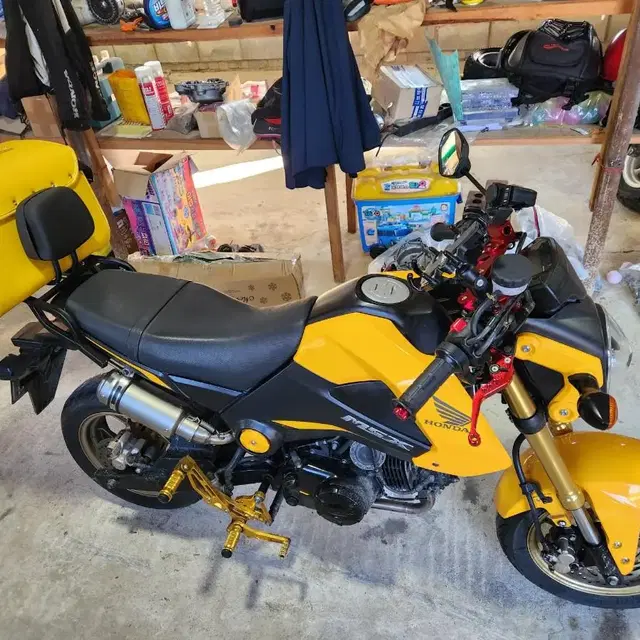 HONDA MSX125