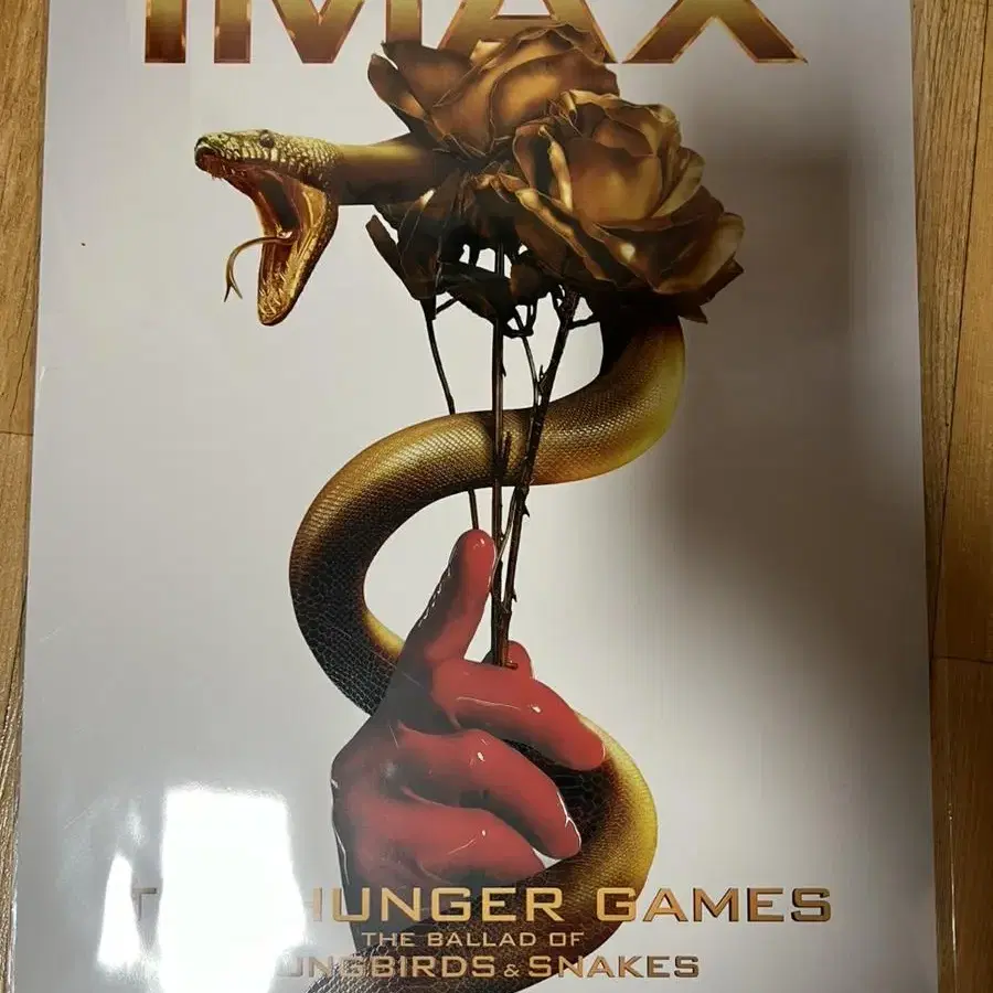 (일괄) 헝거게임 아이맥스 IMAX + 일반관 포스터 일괄