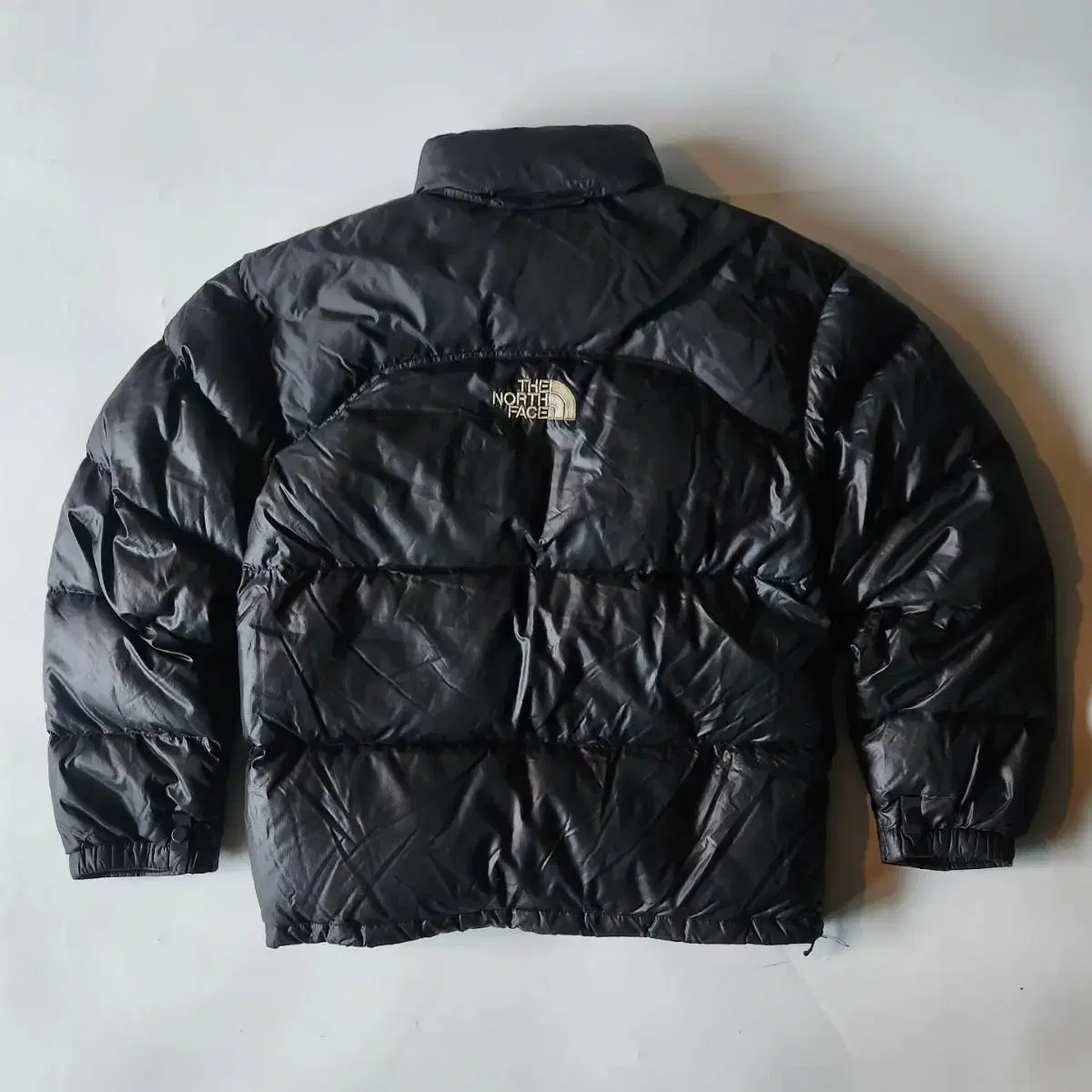 The North Face Nupsi 700 Padded limited edition Backmid