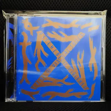 X JAPAN BLUE BLOOD SPECIAL EDITION (2CD)