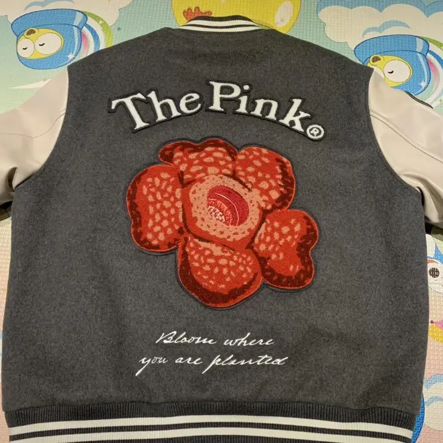 Vandy The Pink (Grey Rafflesia Varsity)