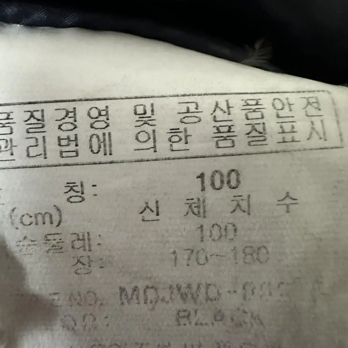 100 밀레 남자 구스다운 패딩