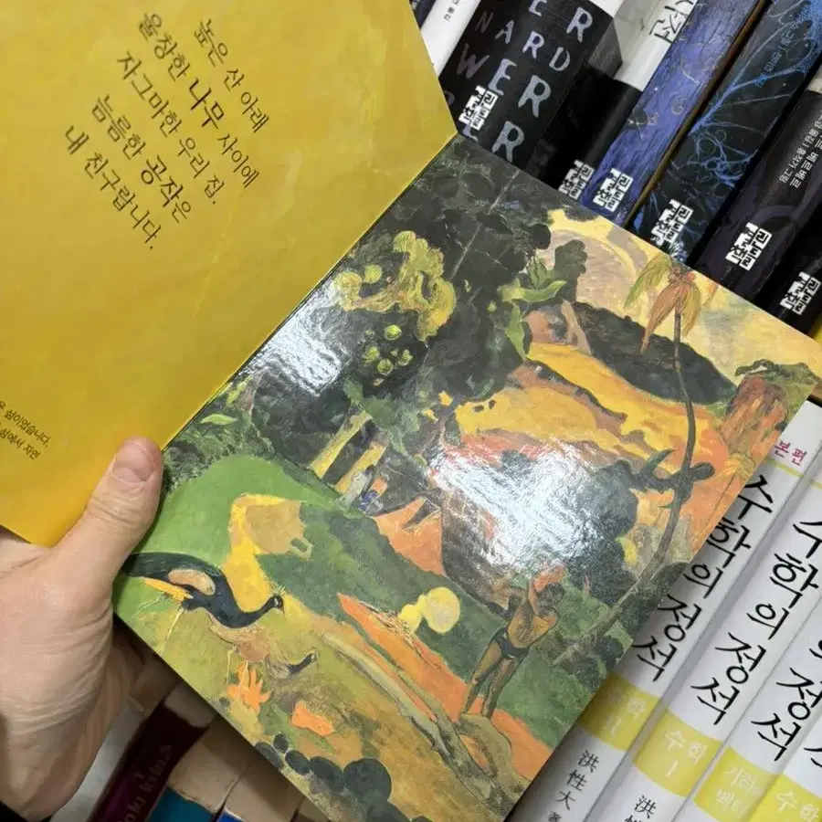 애플비 아기테마그림책12000원