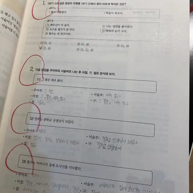 개념있는 국어문법