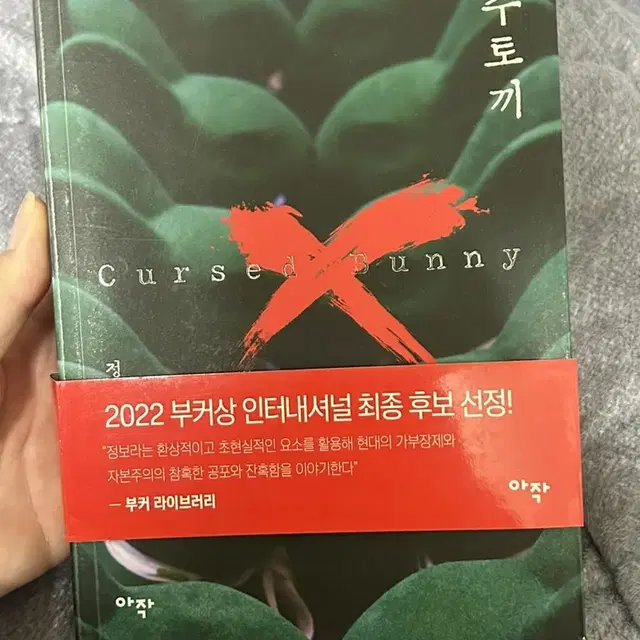 정보라 저주토끼