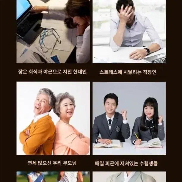 농협 침향공력환 60환/100환(전용쇼핑백 포함)