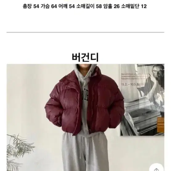 크롭패딩 급하게 팜