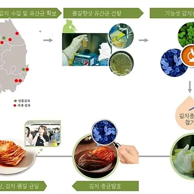 김치 발효를 지연시키는 유산균 (양념 첨가용) 3gX10포 (1세트)