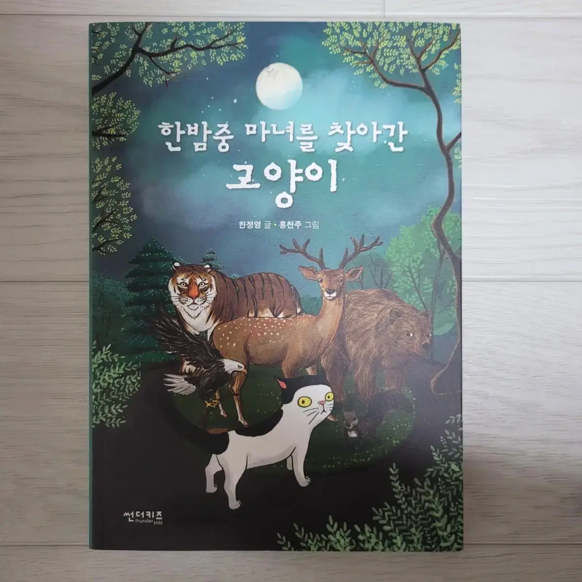 한밤중 마녀를 찾아간 고양이 책