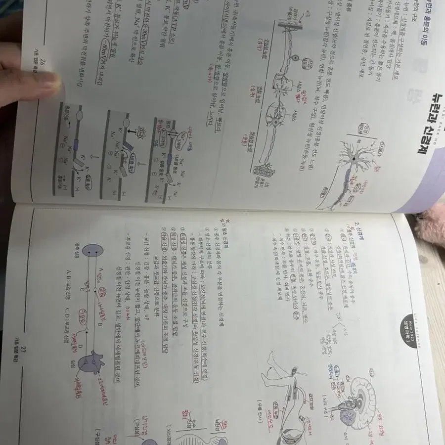 백호 기초입문특강 생명과학12