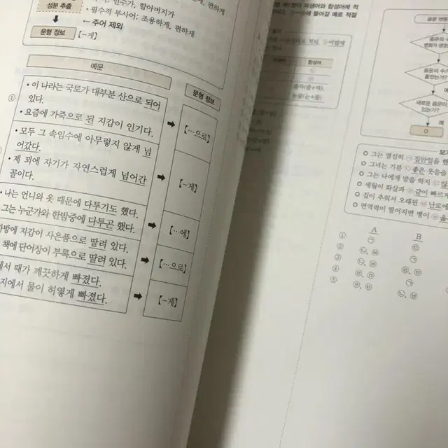 문법 국어의 자격 메가스터디