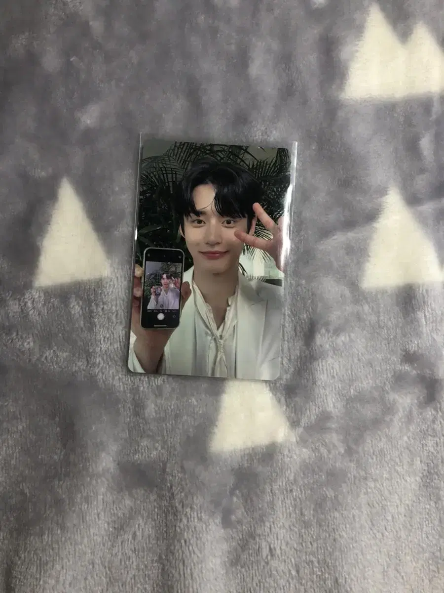 zb1 kim jiwoong fan con photocard 팔 jiungpoka gyubin