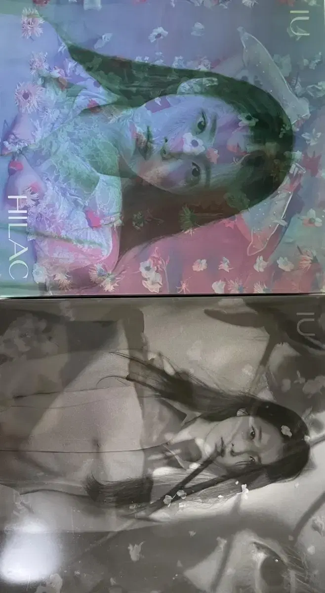 IU Lilac album (HYLAC, BYLAC)