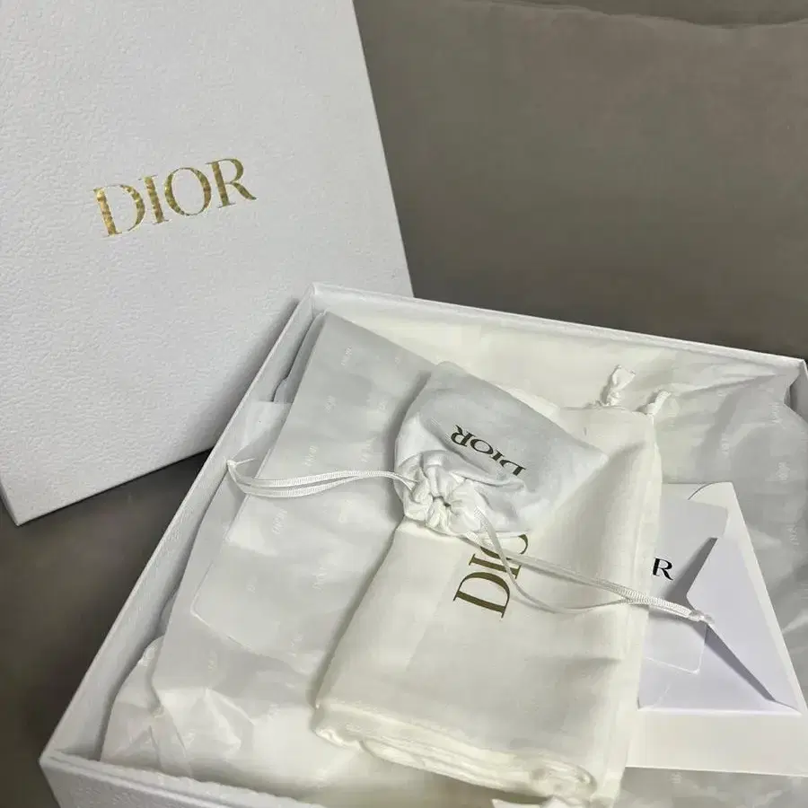 Dior 디올 스니커즈