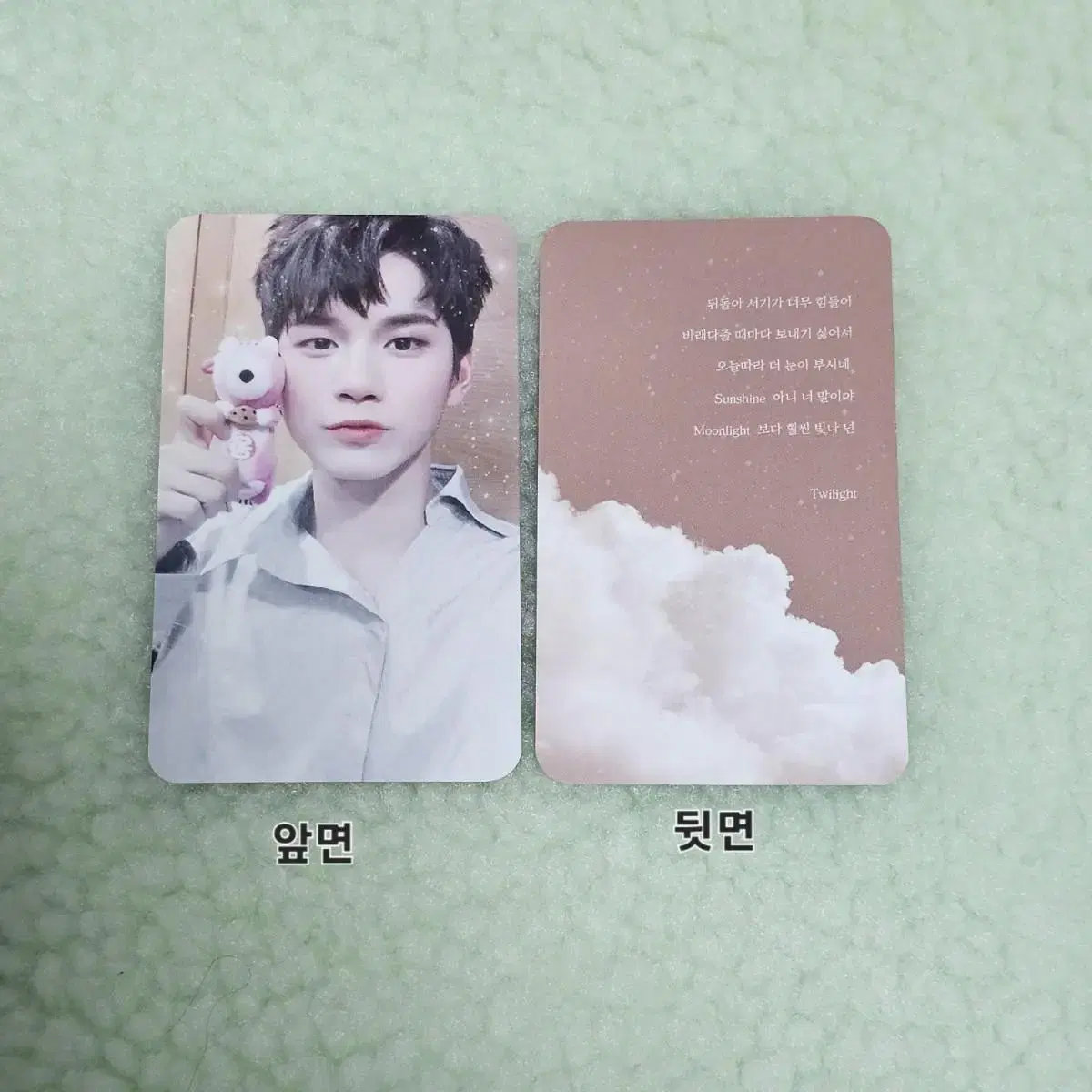 Ong Seongwu photocard Merchandise (Wanna One/Squirrel Ong)