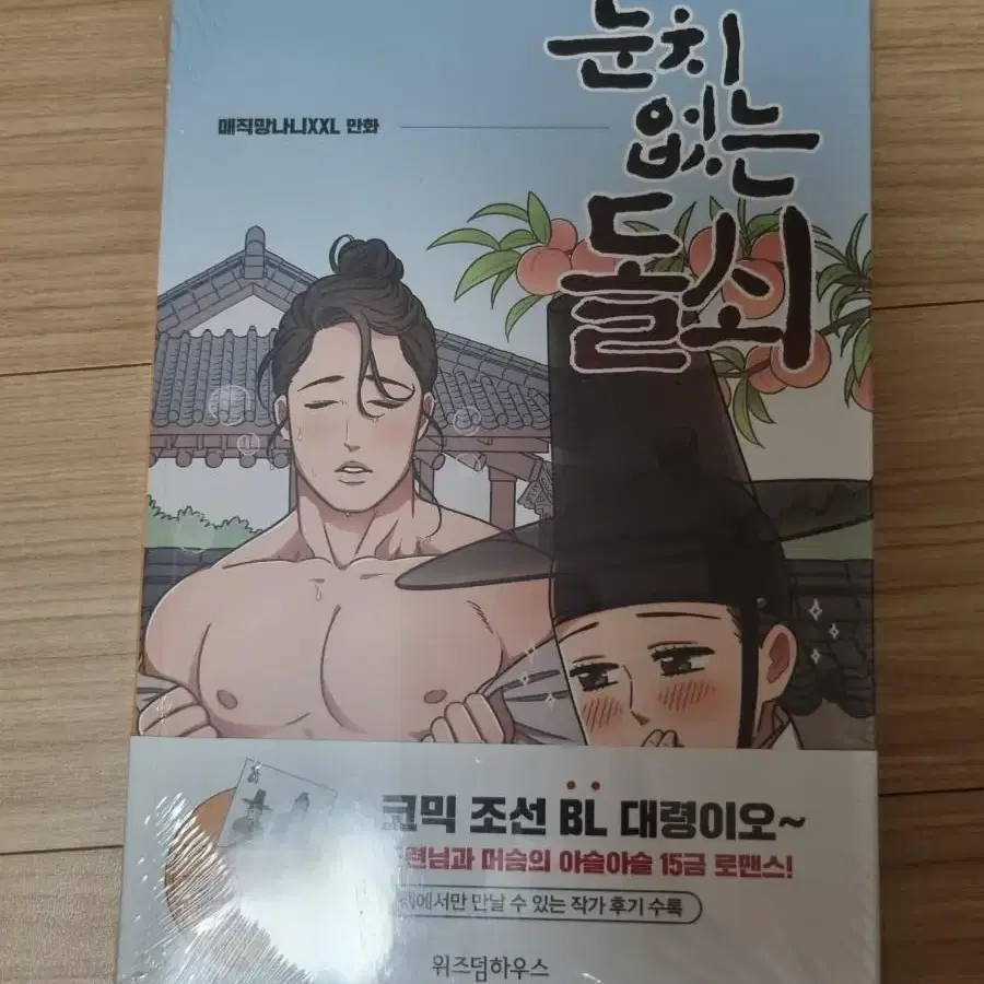 눈치없는돌쇠 책(미개봉)