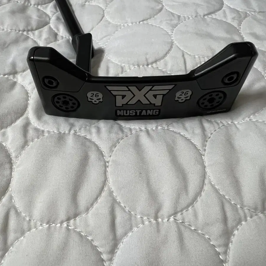 pxg 젠2 아이언, 퍼터, 타일러메이드 드라이버 세트