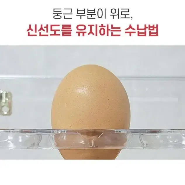 냉장고 계란 보관 용기 달걀 트레이 3단 자동 보관함 30구