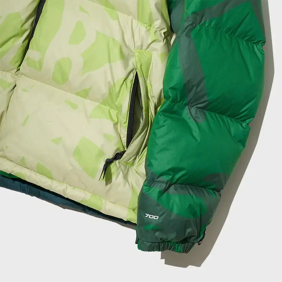 THE NORTH FACE x KAWS GREEN DOWN 패딩