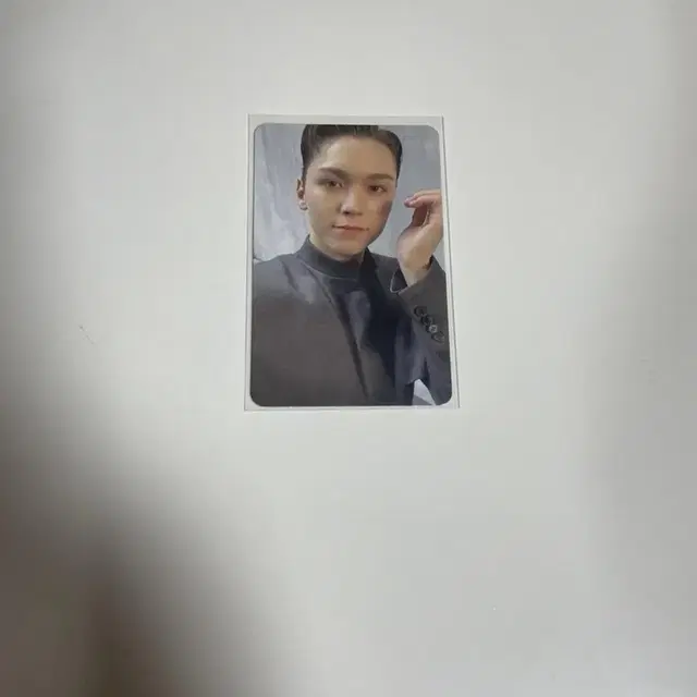 세븐틴 페더썬 버논