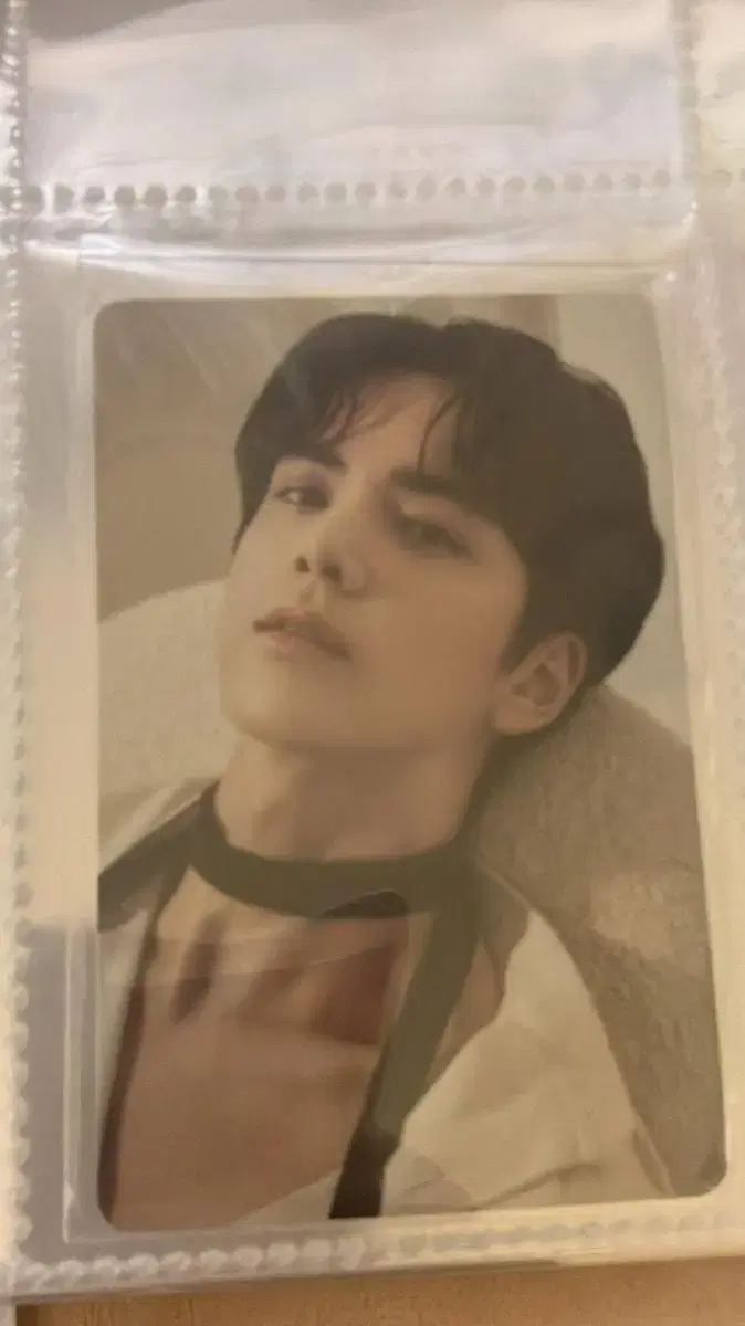 Younghoon Dinto Photocard