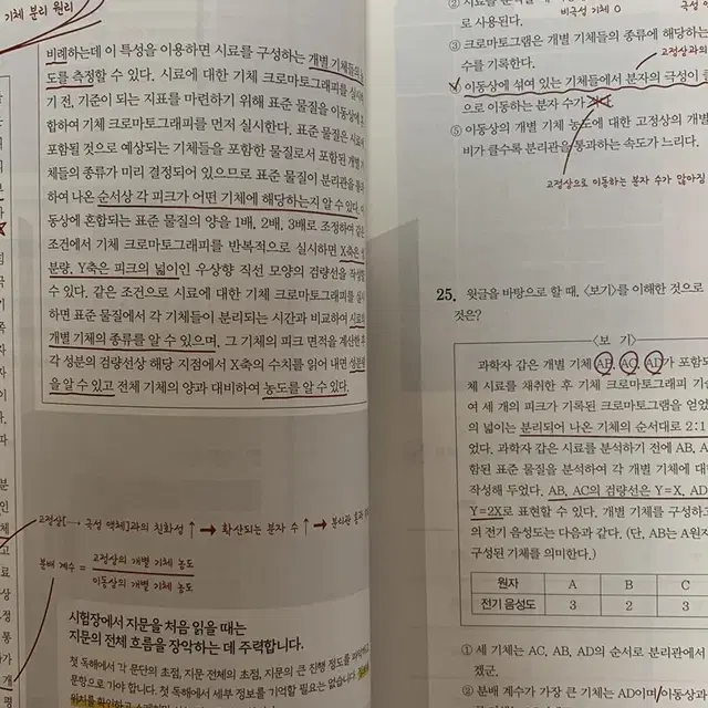 간쓸개 파이널 6권