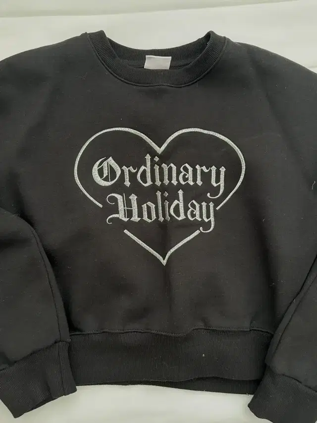 Ordinary holiday 크롭 멘투맨