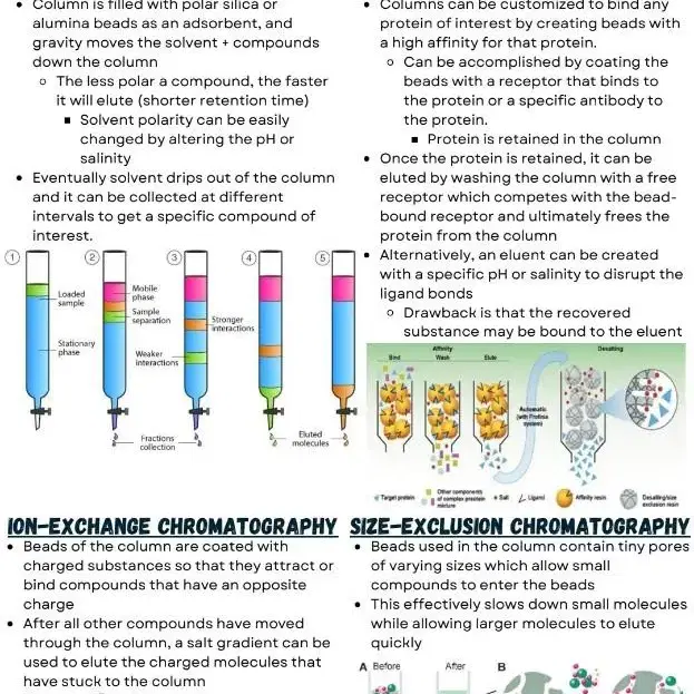 general chemistry 요약 노트 팝니다.