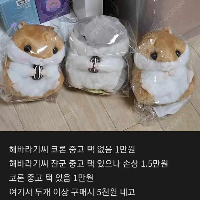 어뮤즈 인형들 판매(마메시바,코론,롯삐,비숑)