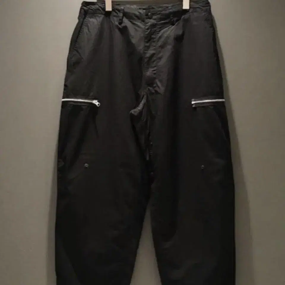 (XLARGE) 빔즈 SSZ 20AW PARASITE ZIP PANTS