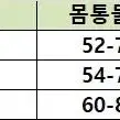 중형 대형견 .. 겨울 패딩 (새상품) 시바~ 래브라도까지 ^^