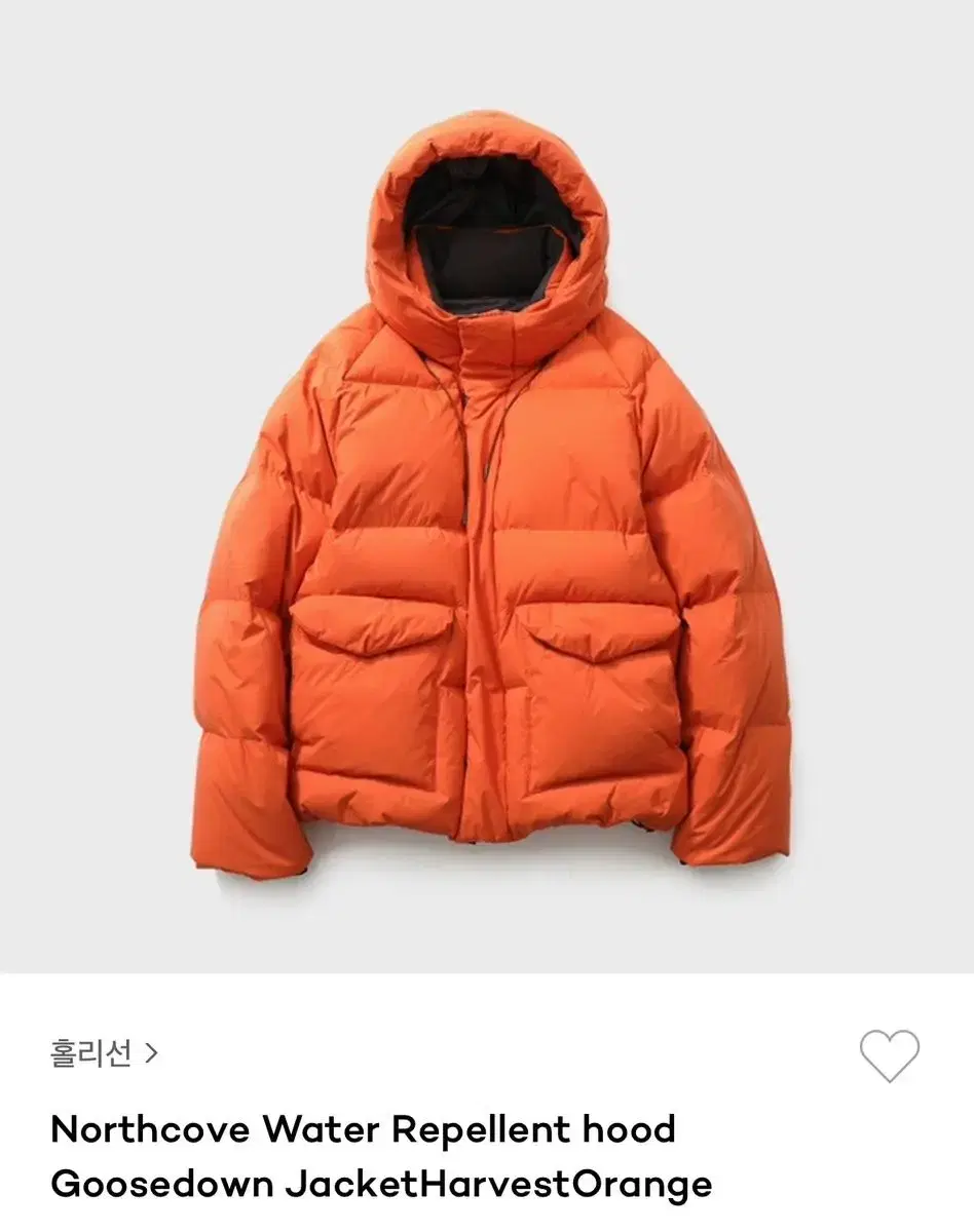 Hollisun 23FW Northcove Padded Size M Sells