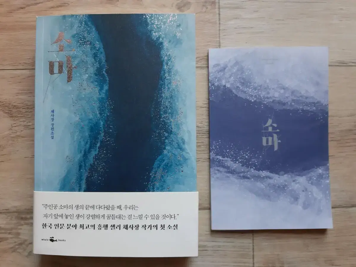 채사장의 <소마> + Commentary Book