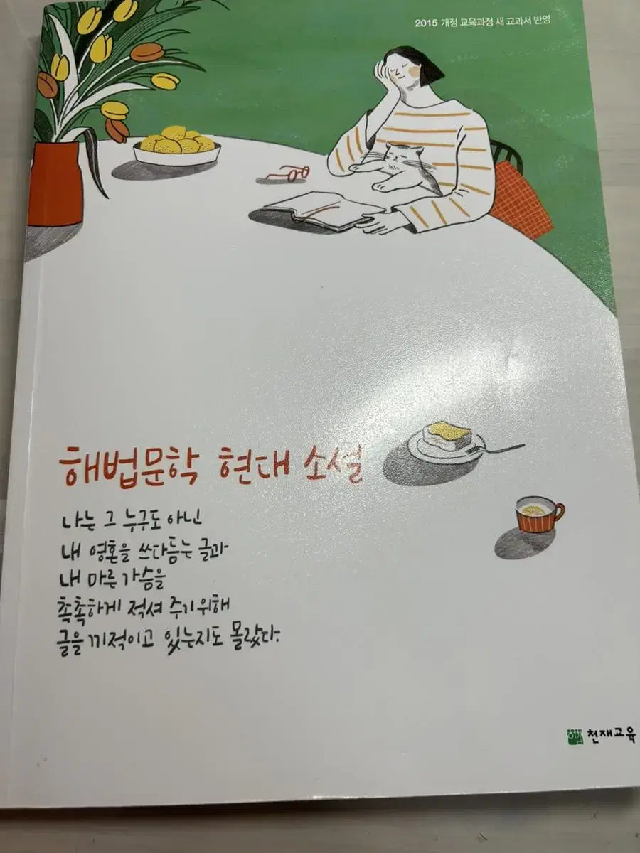 해법 문학 현대 소걸