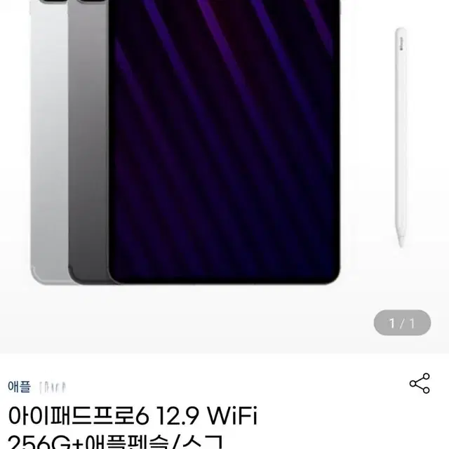 아이패드 프로6 12.6 256GB M2 스그  + 매직키보드