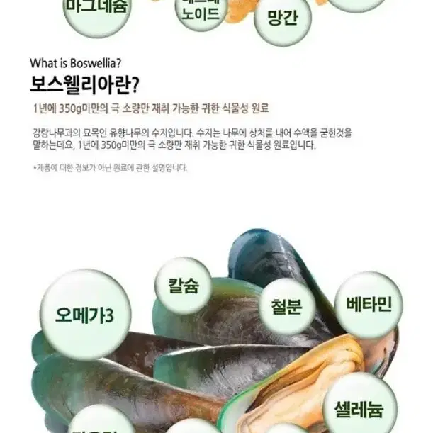 6개월분 관절 연골 보스웰리아 콘드로이친 초록입홍합