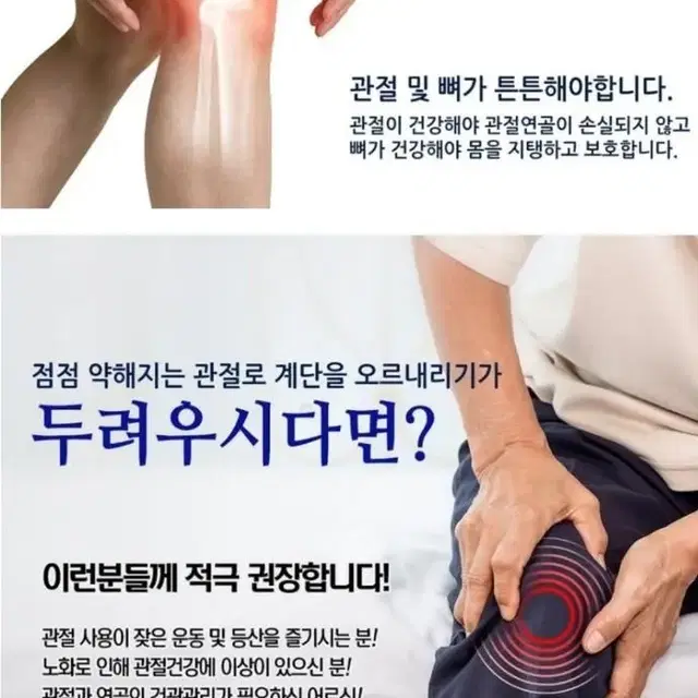 6개월분 관절 연골 보스웰리아 콘드로이친 초록입홍합